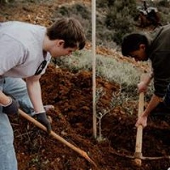 Emil Lenskjaer Larsen