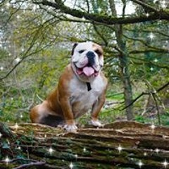 Vanessa Chudyk-Williams