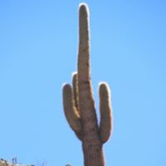 Juan Cabanes Giménez