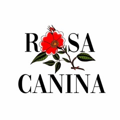 Rosa Canina