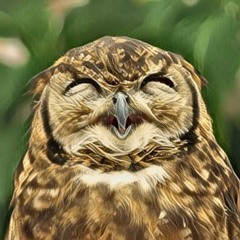 Алексей Мирошниченко