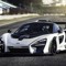 Mclaren_Senna_Lover13