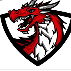 DIAMOND DRAGON