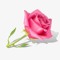 Limar Bassoun
