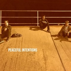 Peaceful Intentions