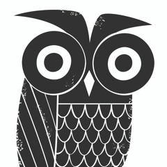 Owl records 011 - The Owl & Posse EP