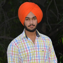 Ravi butahri