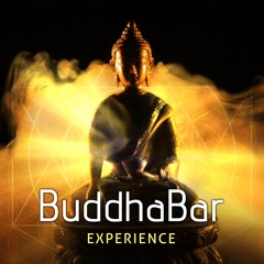 BuddhaBar X