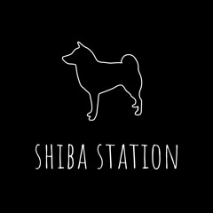 Подкаст Shiba Station