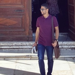 Amr Elhawaty
