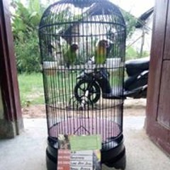 putri