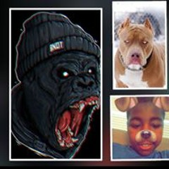 NBA Zir