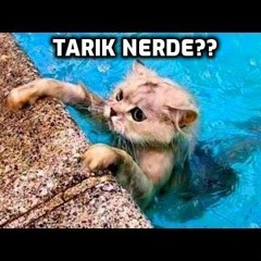 Kanaalhelden ft Tarik en Fahrettin