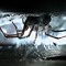 SPIDERS IN THE BASEMENT