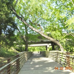 You Should Do a Podcast