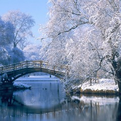 Winter Haven