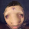 mickeybrah