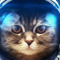 JAK DE KAT