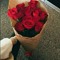 wrdtalbstan68@gmail.com