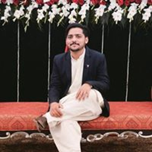 Ali Naqvi’s avatar