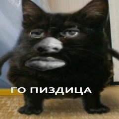 vizixen