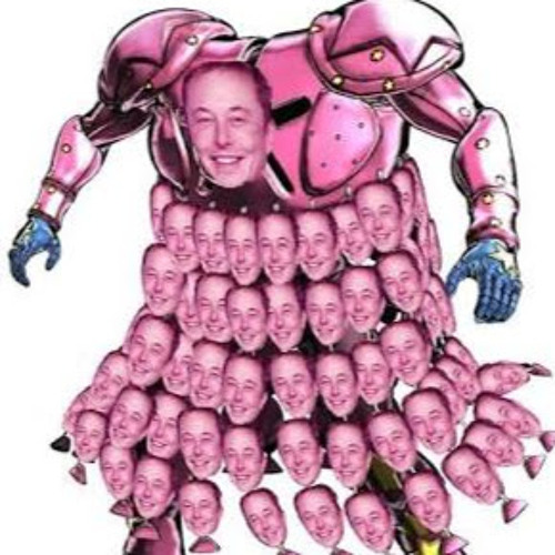 Elon Tusk’s avatar