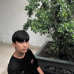 Louis Hải #