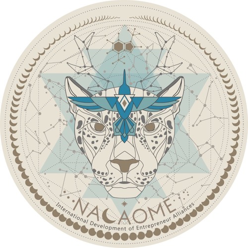 Nacaome Foundation’s avatar