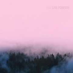 04 - Sunstealer :: True Believer