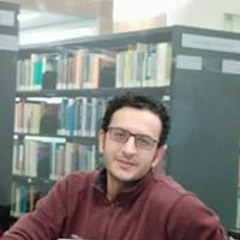 majid selehi