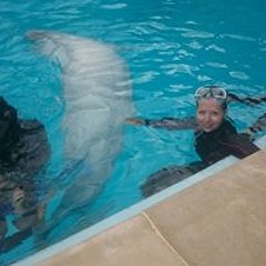 Энергетическая музыка