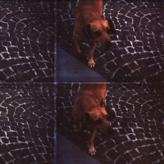 buck la casa / el nigno rojo