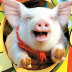 BMK - 물들어 (COVER by BUTA JIN)