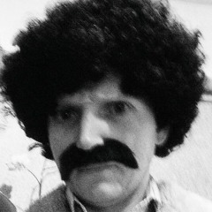 TinyTimParr