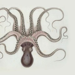 Samantha Rose Butcher