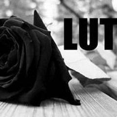 Giovanna Oliveira II