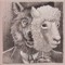 wolf in sheeps clothing