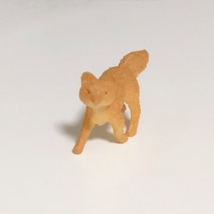 midorim