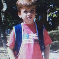 GAVO