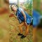 Paty
