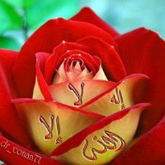 حازم حسين