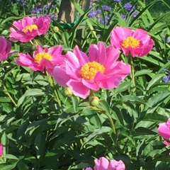 user1467328993377904