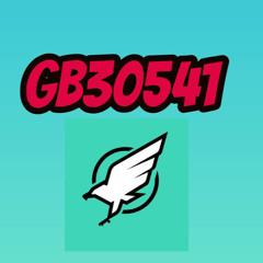Gb30541