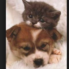 Bill Nye Your Moms A Guy