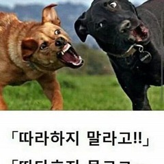 메롱