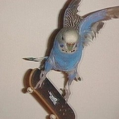 SK8R BOI