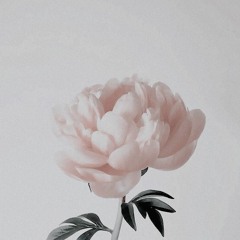 ethereal dreaming