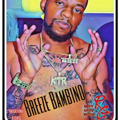 Breeze Bambino