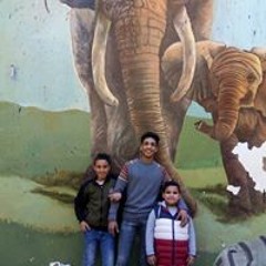 َمحمود محمد