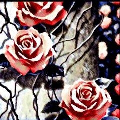 The Mort Myre Junkie